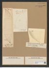 Rhizosolenia robusta Norm. (de-Toni-Nr.: Genus 114, Species 3289) Zeichnungen Sammlung Grunow Nr. 6677 (NHMW-BOT-W0375472)